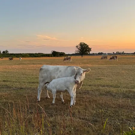 Apartamento Ecovilla - Pur