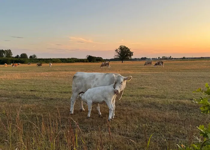 Apartamento Ecovilla - Pur