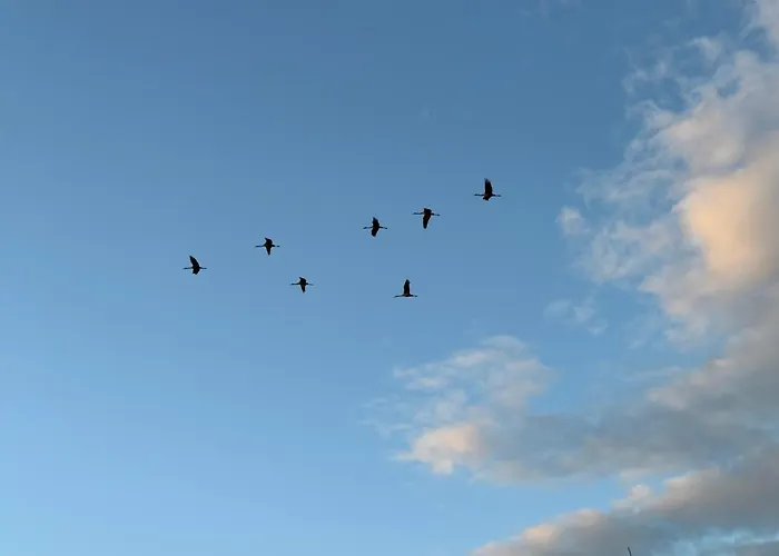 Apartamento Ecovilla - Pur